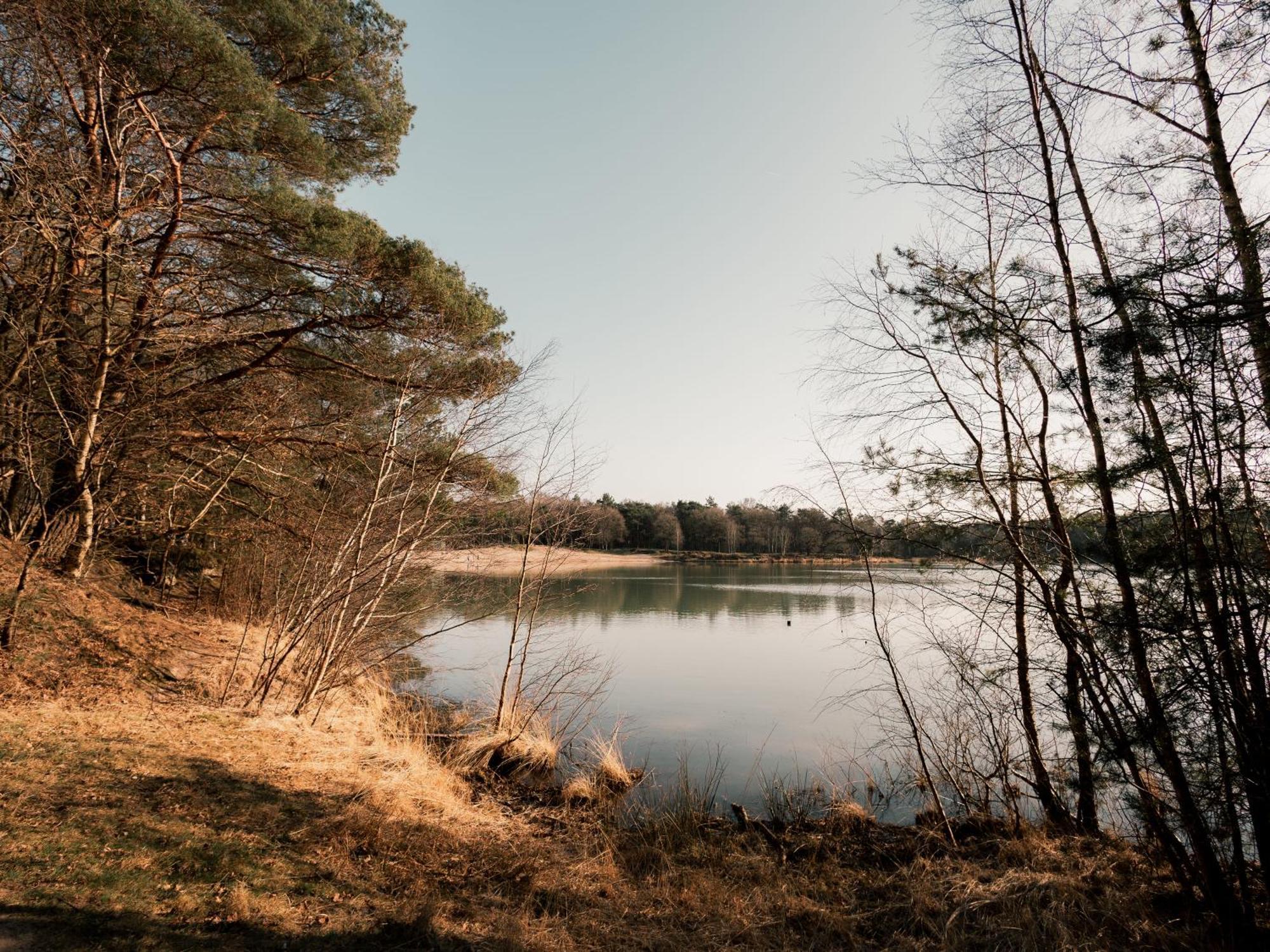 Chalet Nieuwe Luxe Met Weidezicht - Bij Nationaal Park Drents-friese Wold